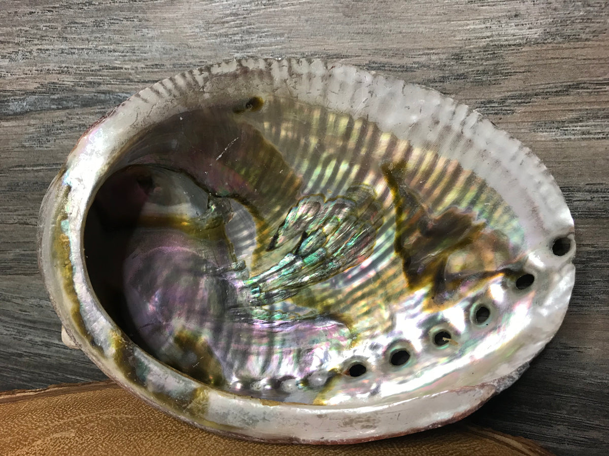 Abalone Shell – Rockmystic